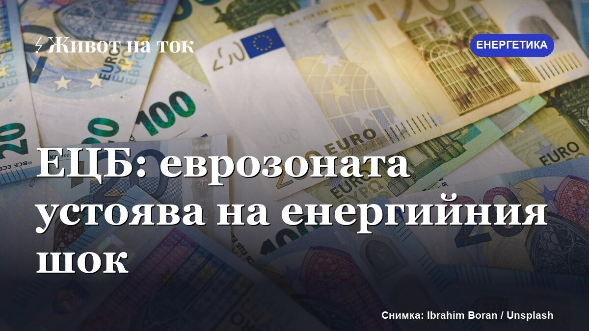 ЕЦБ: еврозоната понася енергийния шок по-добре от очакваното