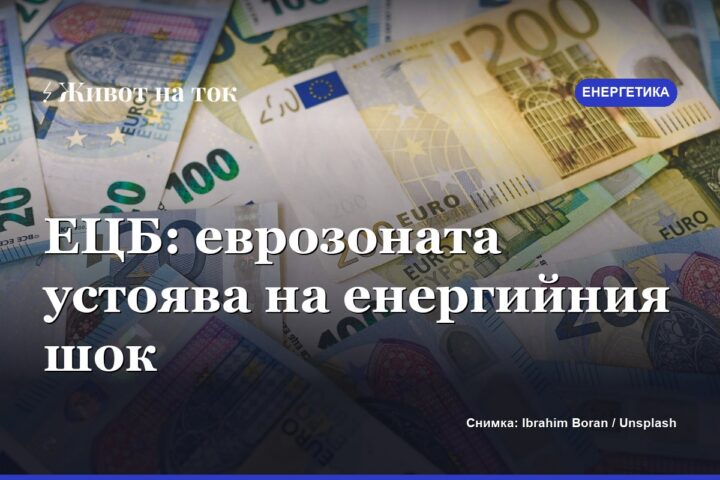 ЕЦБ: еврозоната понася енергийния шок по-добре от очакваното