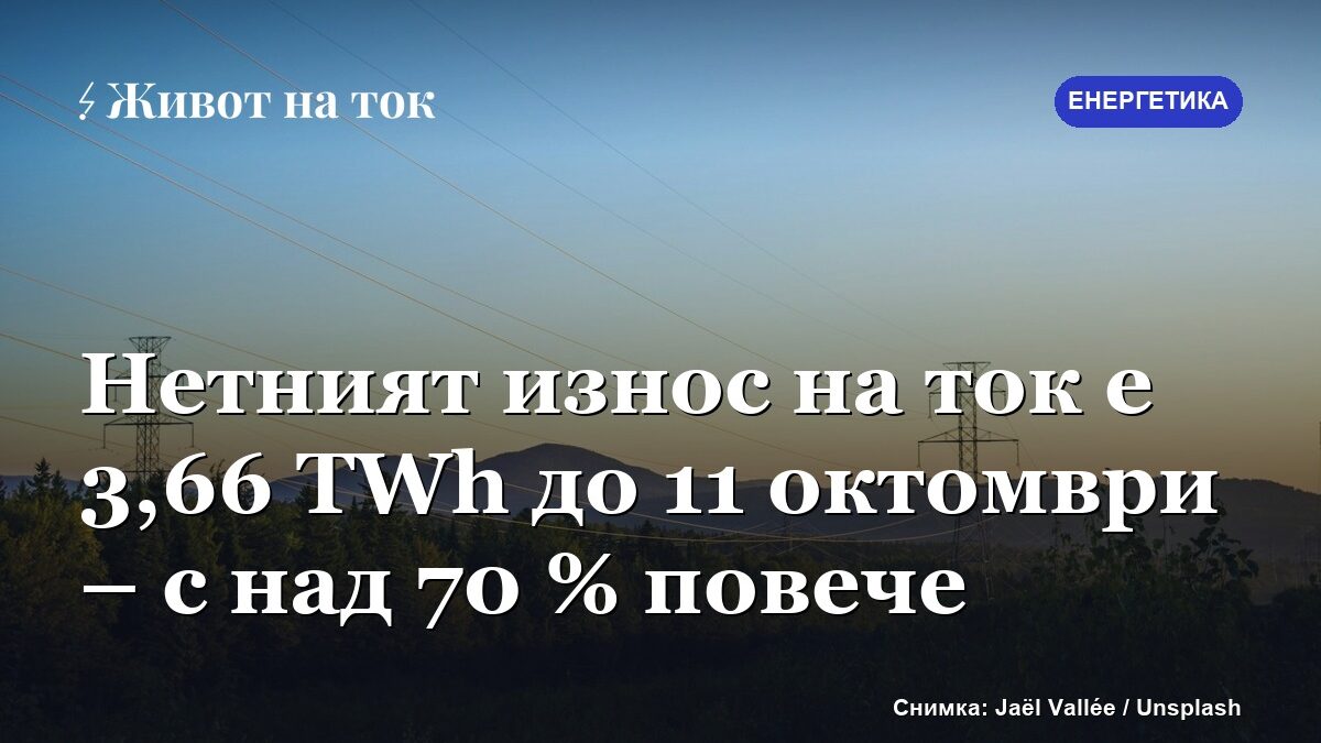 Нетният износ на ток е 3,66 TWh до 11 октомври – с над 70 % повече