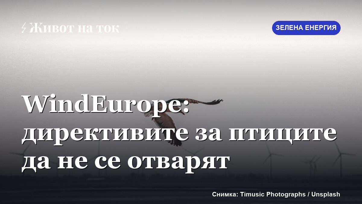WindEurope: директивите за птиците и местообитанията да не се отварят