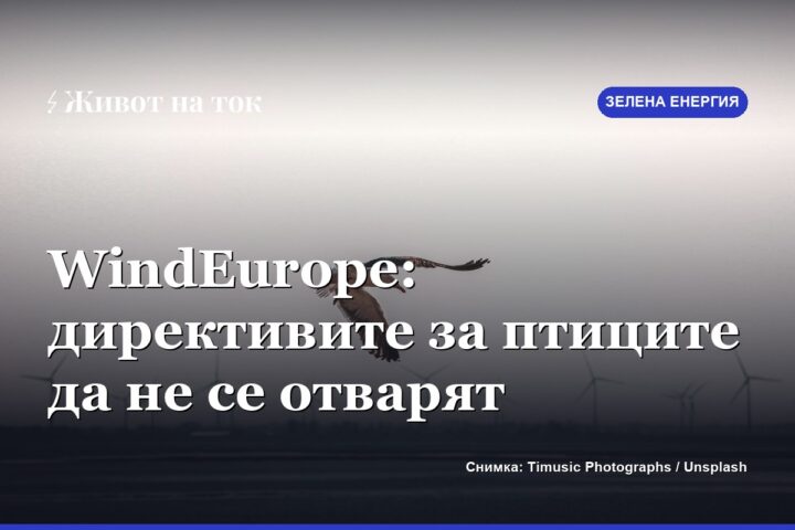 WindEurope: директивите за птиците и местообитанията да не се отварят
